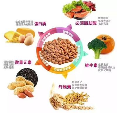 南崗學(xué)府寵物用品批發(fā)零售 一站式滿足愛寵需求